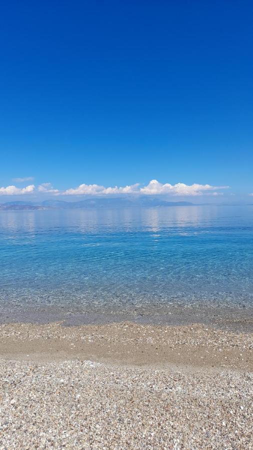Akrata Rose Garden Apartments I Paralia Akratas Bagian luar foto